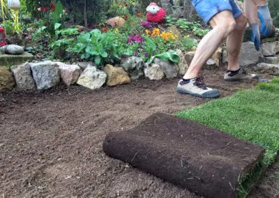 Rollrasen verlegen auf vorbereiteten Boden