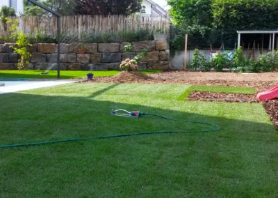 Fertig Verlegter Rollrasen Im Garten