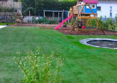 Rollrasen Dichte Feste Matte