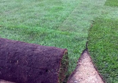 Rollrasen verlegen und zuschneiden